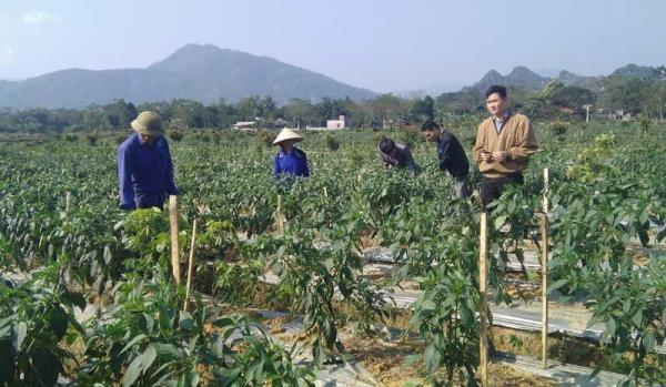 Nâng cao Năng lực xây dựng kế hoạch phát triển kinh tế xã hội tỉnh Hòa Bình