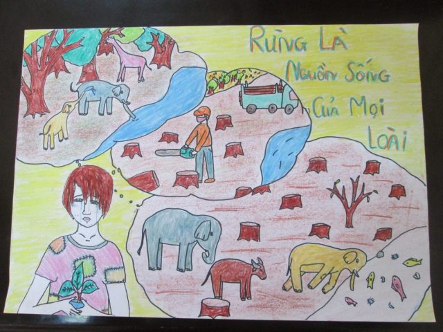 Support for the REDD+ readiness preparation in Vietnam” (FCPF-REDD+ project)